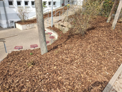 … everything newly covered with bark mulch 